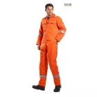 Bizweld Iona FR overál BIZ5