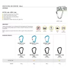 HECTOR BC karabiner