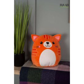 Squidgy Ginger Cat plüss