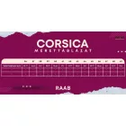 CORSICA O1 ESD SR munkacipő
