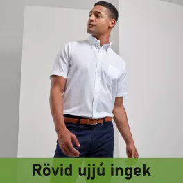Rövid ujjú ingek