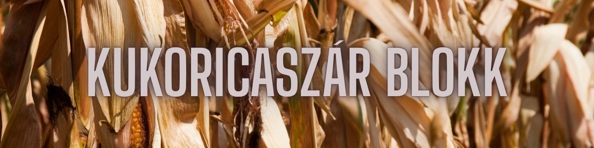 A kukoricaszár blokk – hulladékból épített hőszigetelés